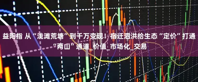 益阳指 从“浅滩荒塘”到千万变现！宿迁泗洪给生态“定价”打通“两山”通道_价值_市场化_交易