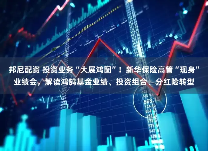 邦尼配资 投资业务“大展鸿图”！新华保险高管“现身”业绩会，解读鸿鹄基金业绩、投资组合、分红险转型