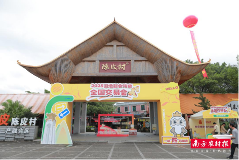 容新策略 非遗体验、集章赠礼、侨乡美食...新会陈皮村双节集市已就位！